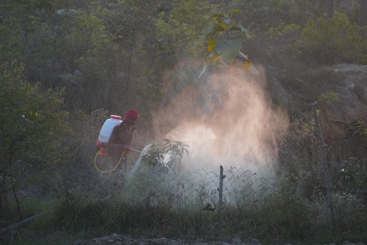 Regenerative Practices at Taradha